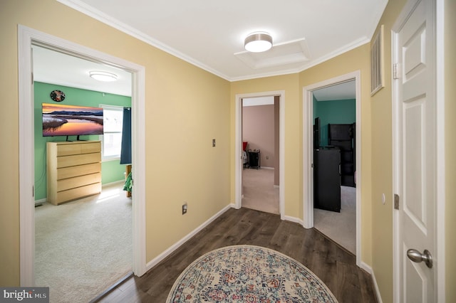 hall featuring dark wood-type flooring and crown molding