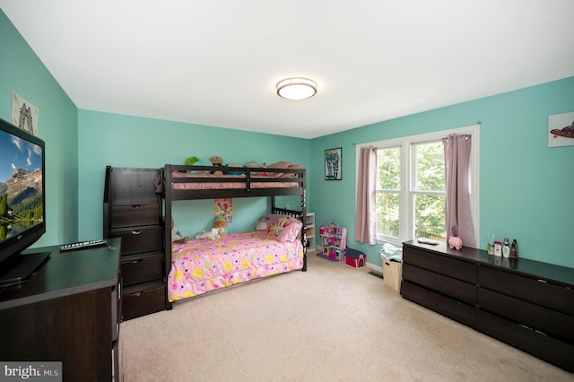 bedroom with carpet floors