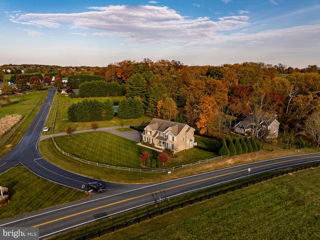 bird's eye view