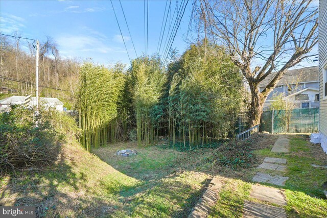 245 Knoxville Rd, Knoxville, MD 21758 - view of yard