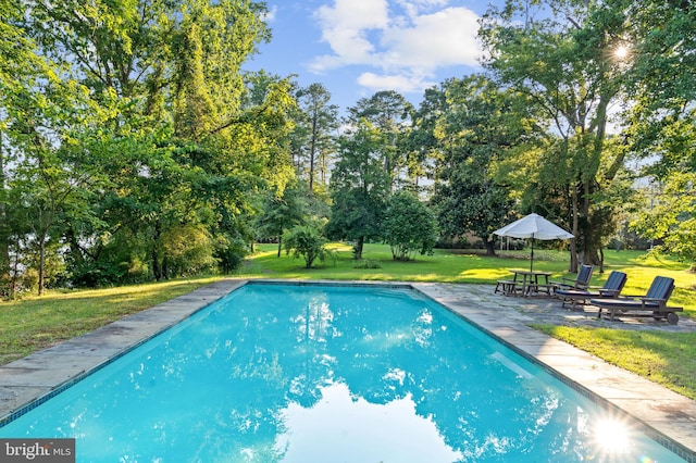 view of pool featuring a patio area and a lawn