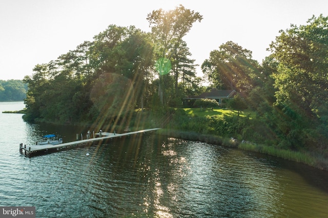 water view featuring a boat dock