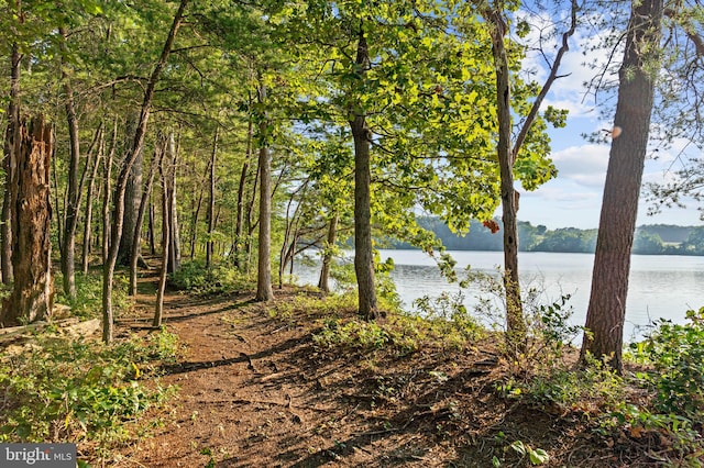 property view of water