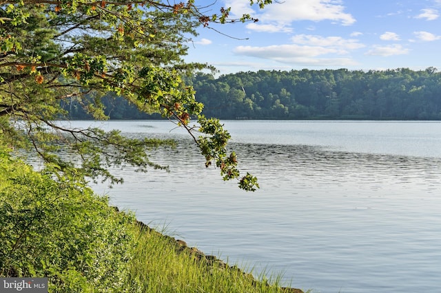 property view of water