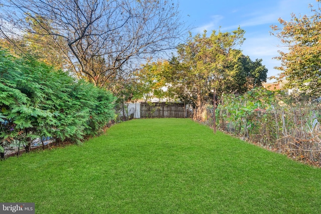 227 Columbus Ave, Trenton, NJ 08629 - view of yard featuring a fenced backyard