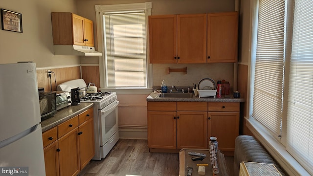 kitchen featuring white appliances, sink, wooden walls, and hardwood / wood-style floors