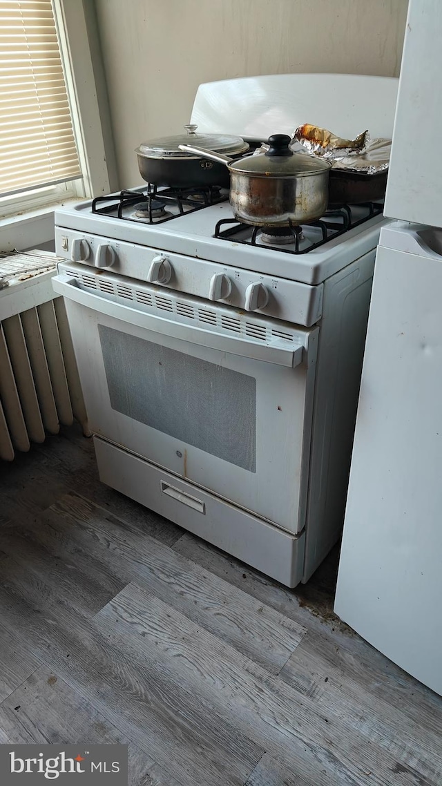 kitchen featuring high end range and light hardwood / wood-style floors