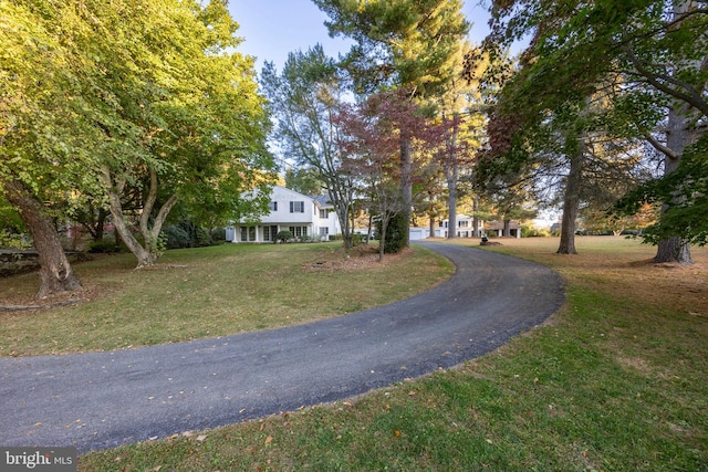 view of front of house with a front lawn