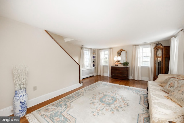 living room featuring dark wood-type flooring