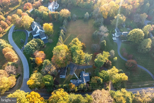 bird's eye view