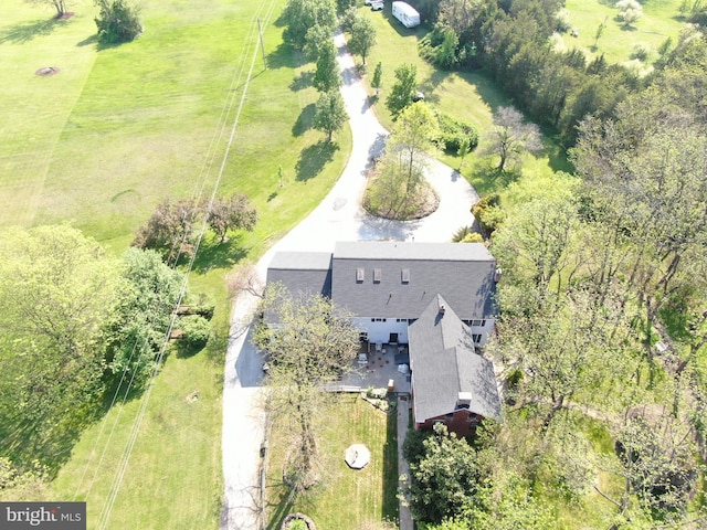 bird's eye view