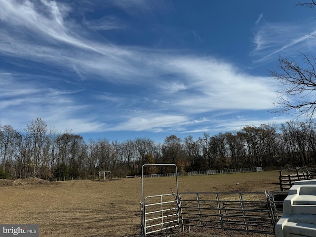 view of yard featuring a rural view