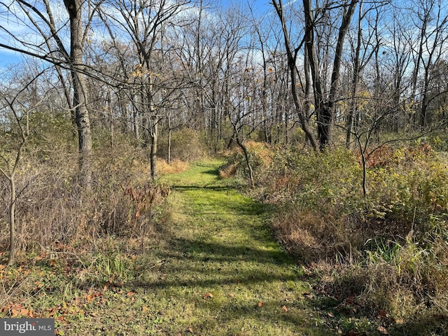 view of nature