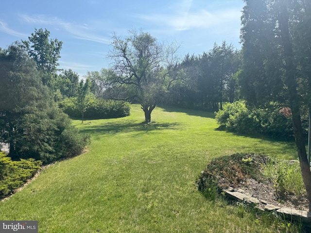 view of yard
