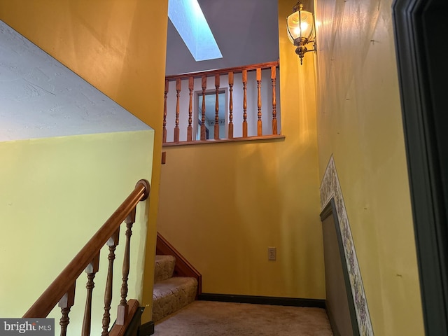 stairway featuring carpet and a skylight