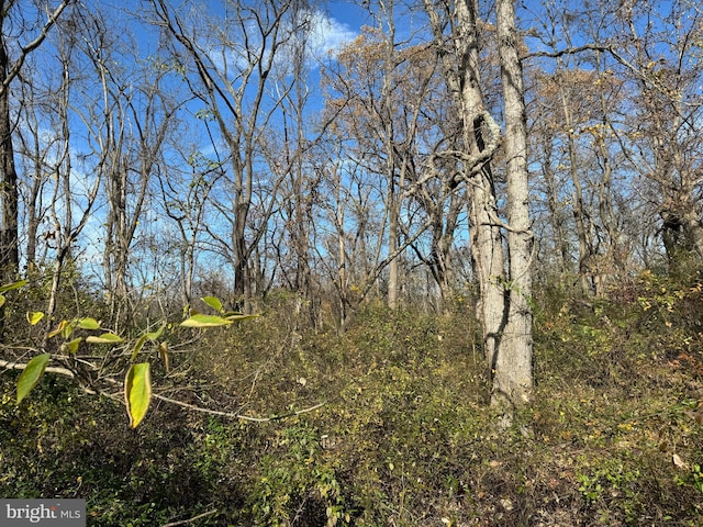 view of nature