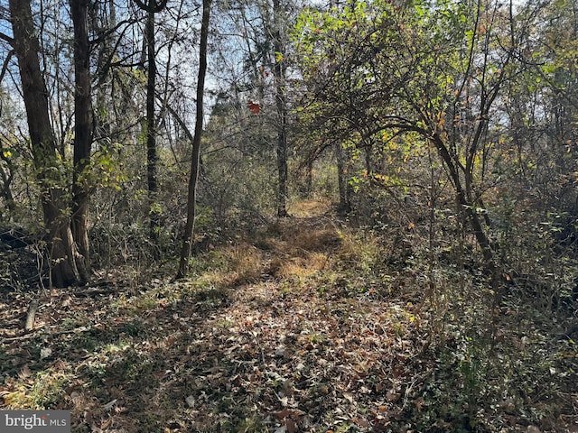 view of landscape