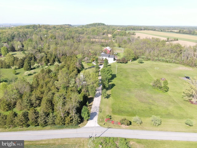 bird's eye view