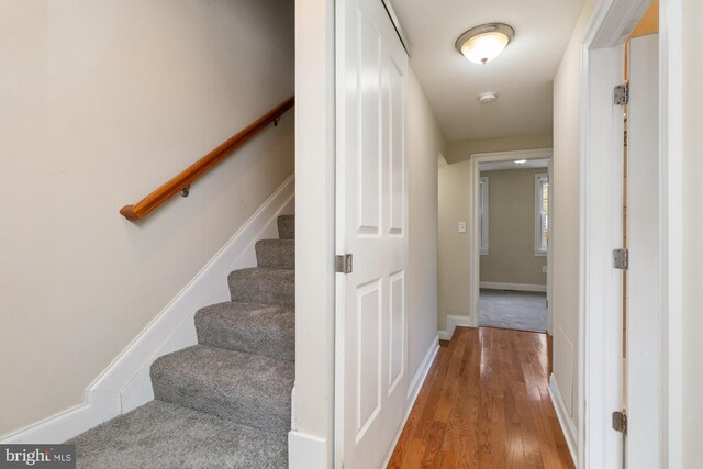 staircase with hardwood / wood-style floors