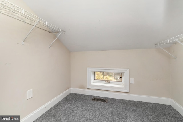 spacious closet with vaulted ceiling and carpet floors