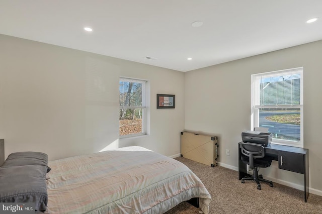 carpeted bedroom with multiple windows