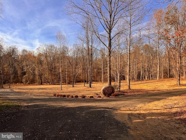 0 Flatwood Ln, Washington VA, 22747 land for sale