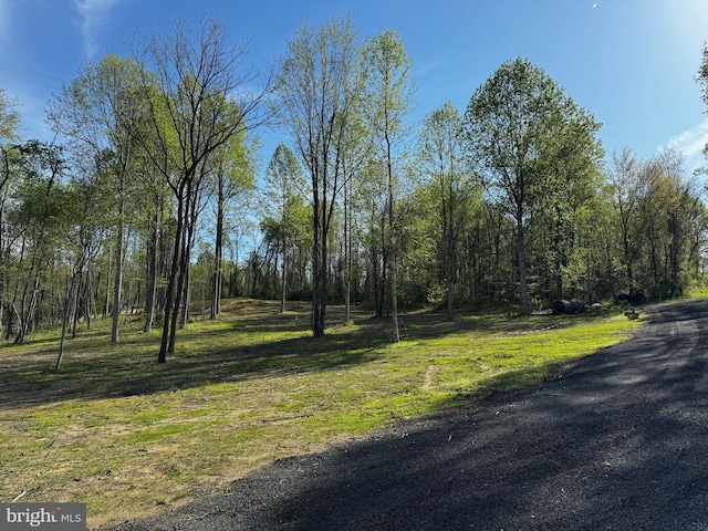 0 Flatwood Ln, Washington, VA 22747