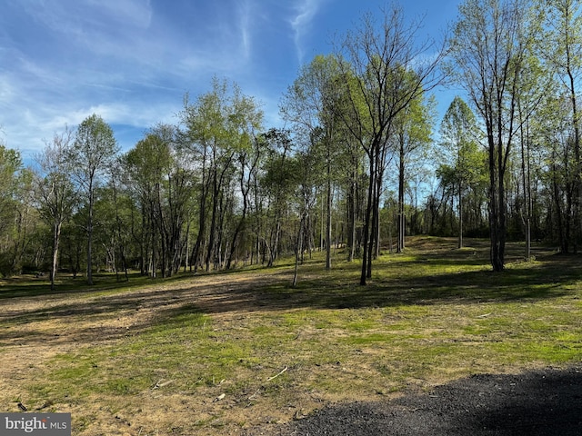 0 Flatwood Ln, Washington, VA 22747