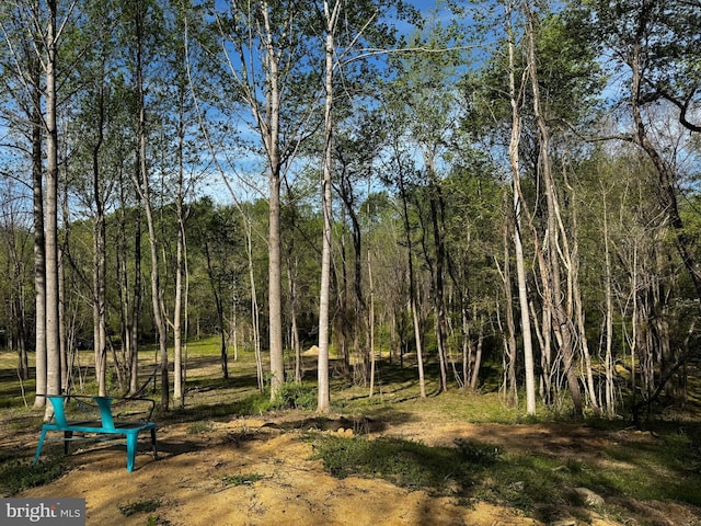 0 Flatwood Ln, Washington, VA 22747