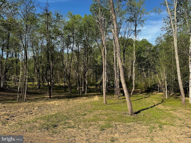 0 Flatwood Ln, Washington, VA 22747