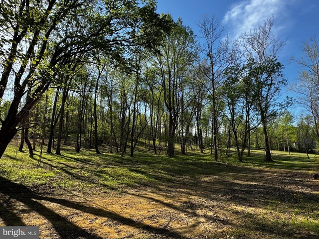 0 Flatwood Ln, Washington, VA 22747