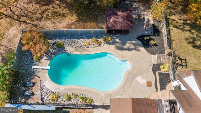 view of swimming pool with a patio area and a diving board