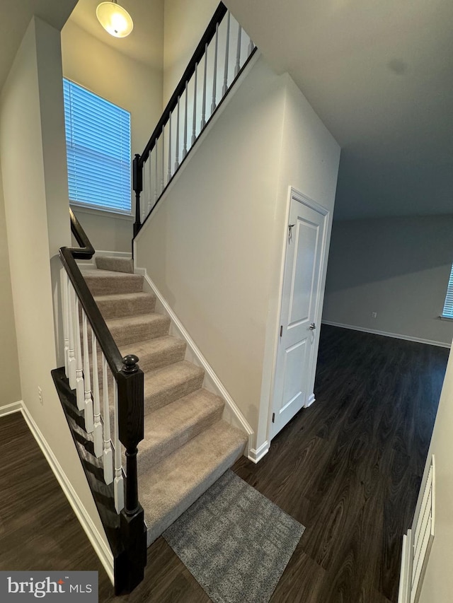 staircase with wood-type flooring