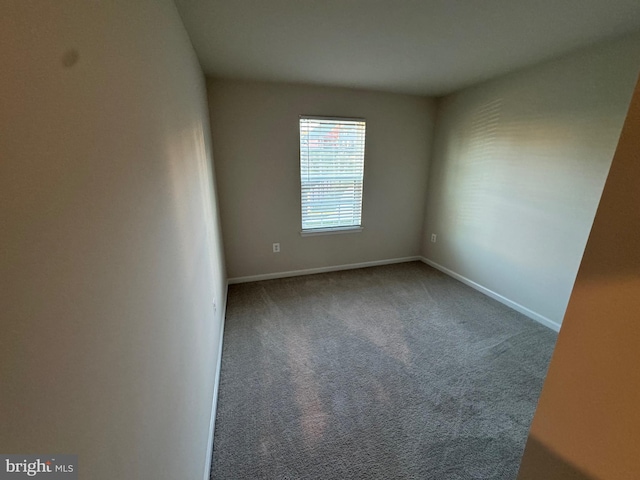 spare room with carpet floors