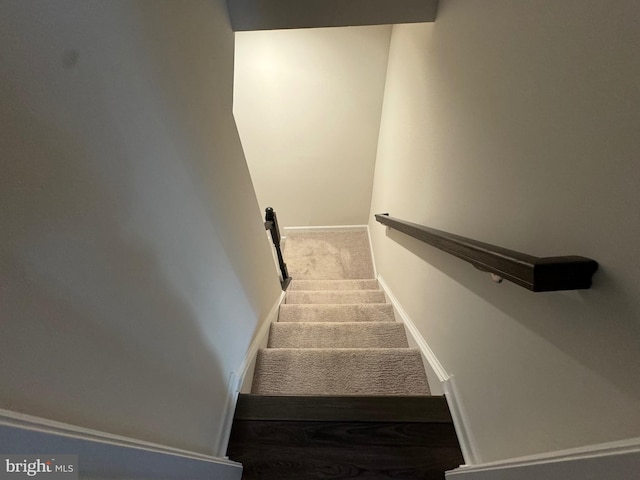 staircase featuring carpet floors