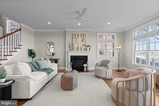 living room featuring hardwood / wood-style floors, ceiling fan, and crown molding