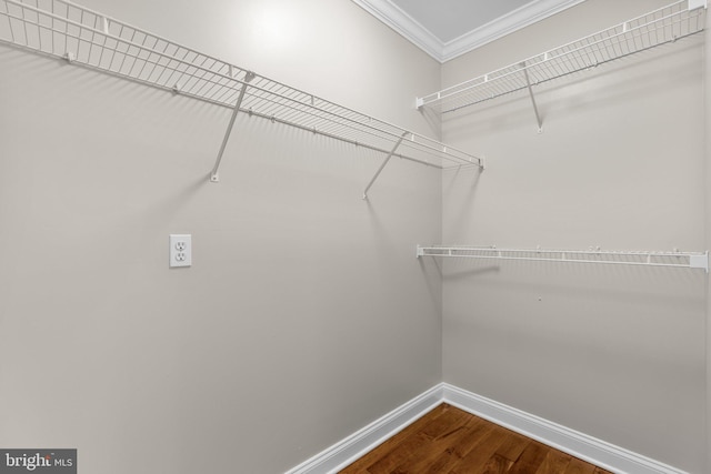 walk in closet with hardwood / wood-style flooring