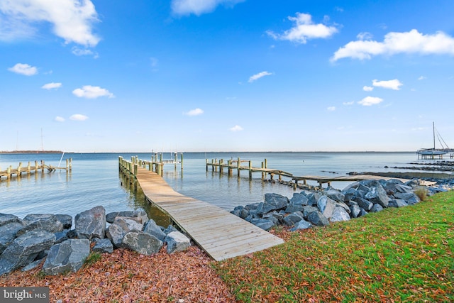 dock area featuring a water view