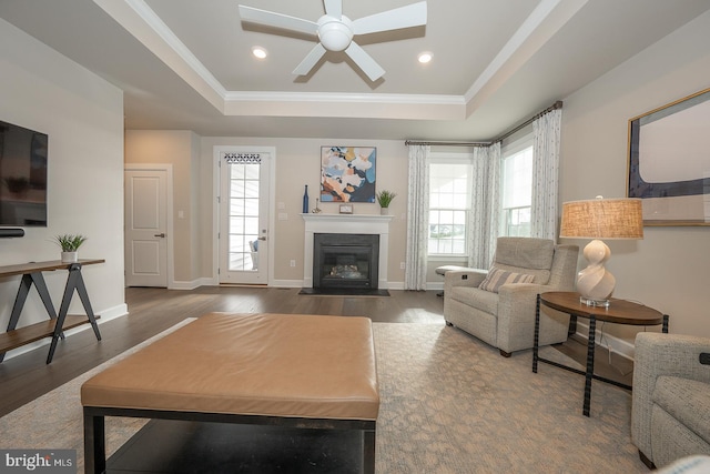 living room with a raised ceiling, a wealth of natural light, and dark hardwood / wood-style flooring