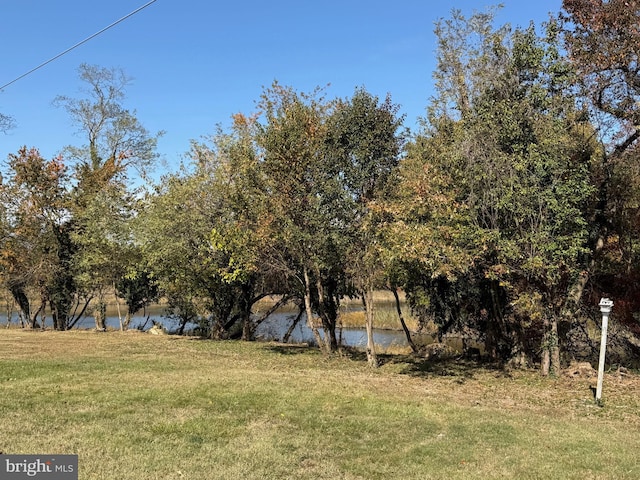 view of yard with a water view