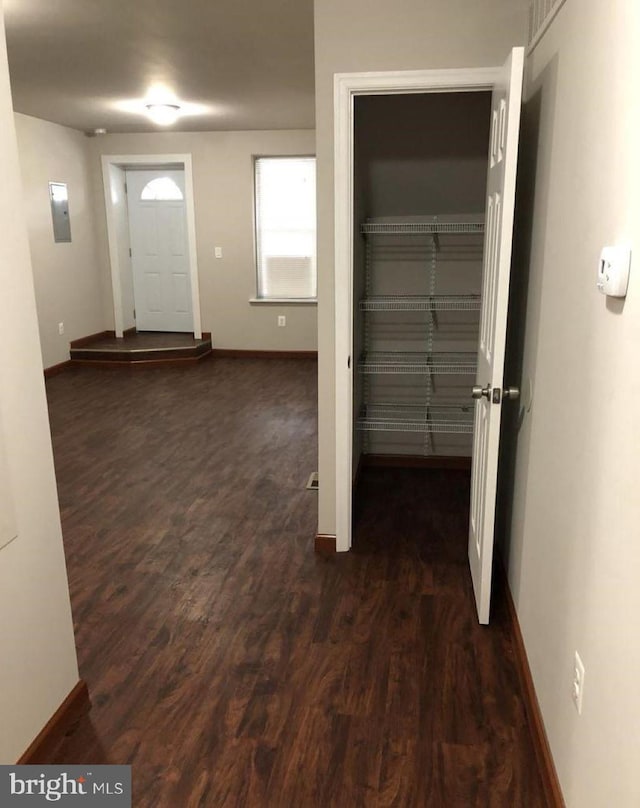 hallway with dark hardwood / wood-style flooring