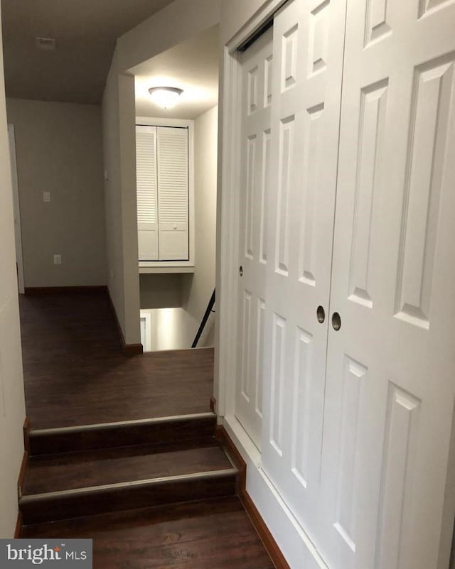 stairs with hardwood / wood-style floors