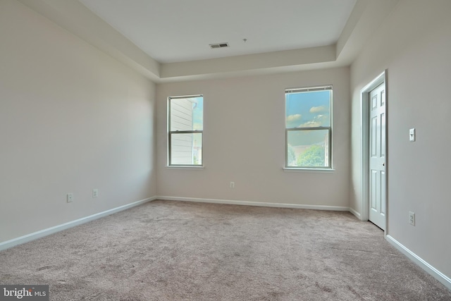 spare room with a healthy amount of sunlight and light colored carpet