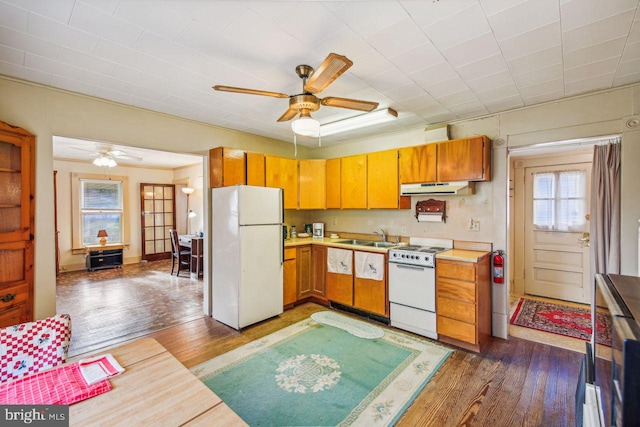 kitchen with dark wood-type flooring, white appliances, sink, and ceiling fan