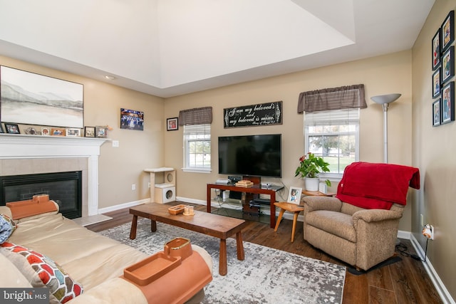 living room with a fireplace and dark wood-type flooring