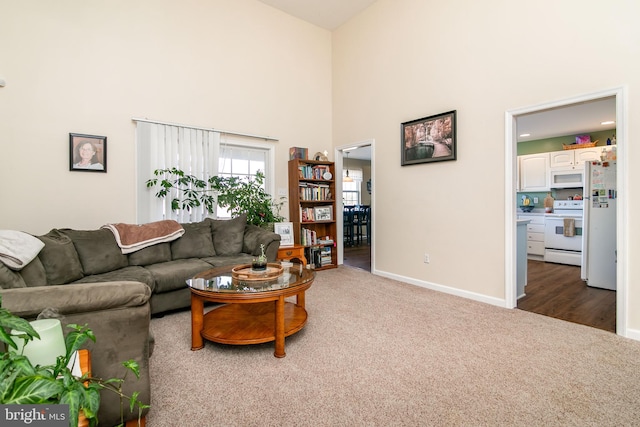 living room with carpet flooring and a high ceiling