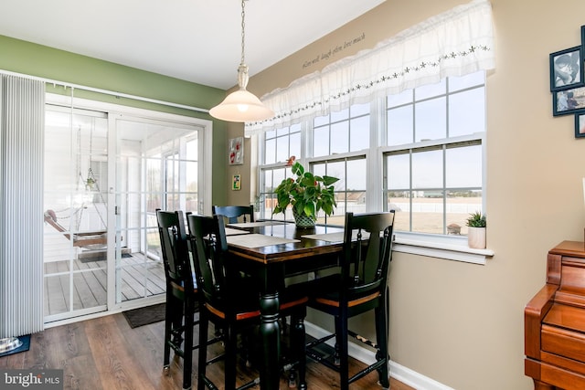 dining space featuring hardwood / wood-style flooring and a wealth of natural light