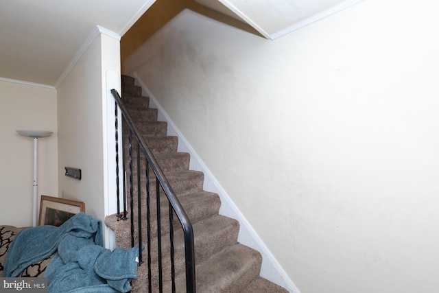 stairs featuring ornamental molding and carpet floors