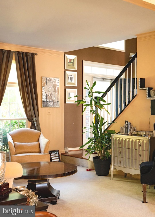 living area with ornamental molding and carpet floors