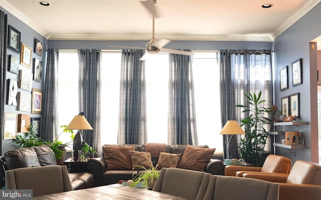 living room featuring ceiling fan and ornamental molding